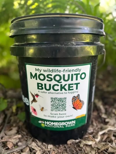 Mosquito Bucket of Doom