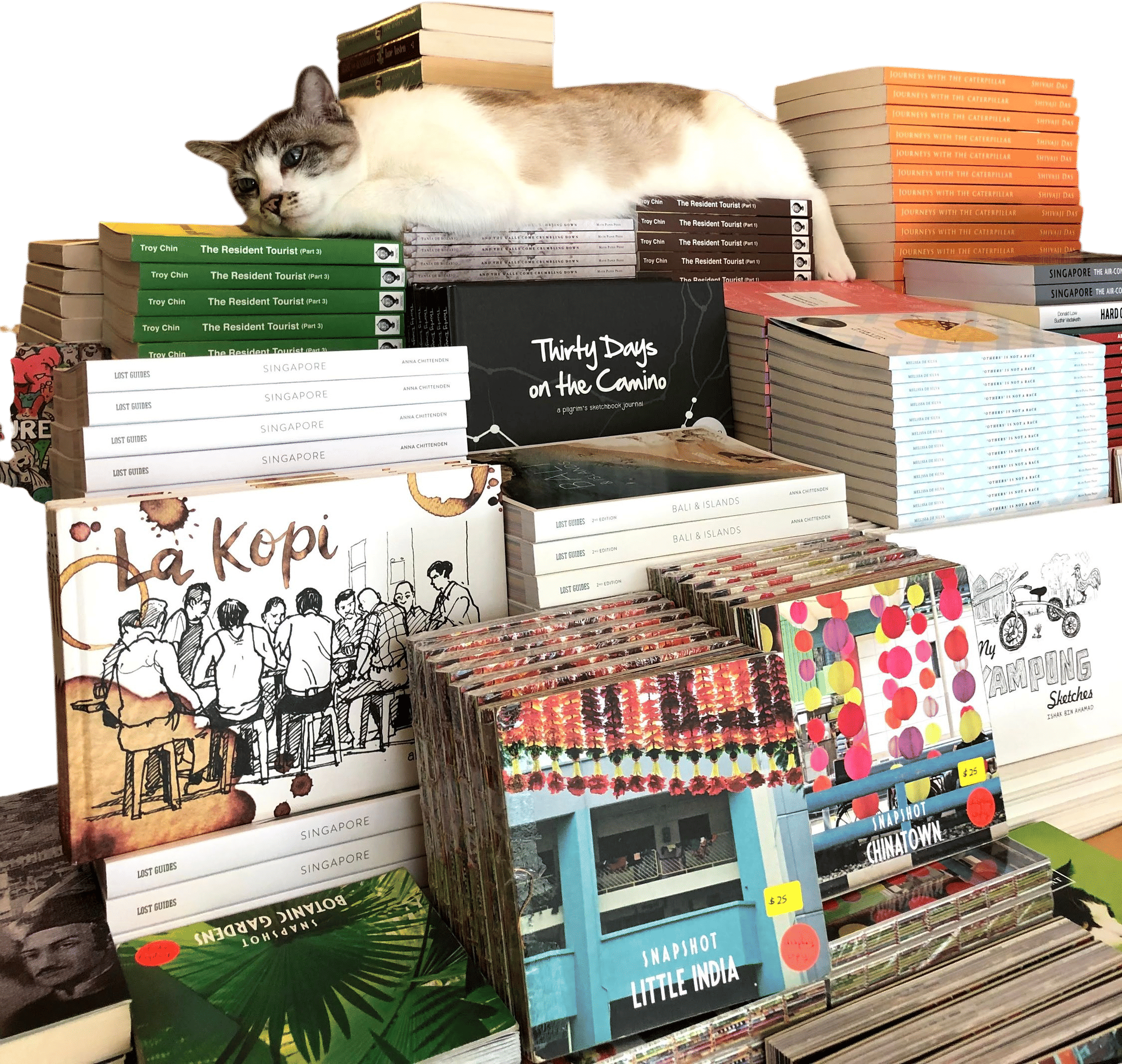 Littered with Books
