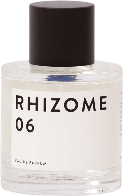RHIZOME 06 EDP