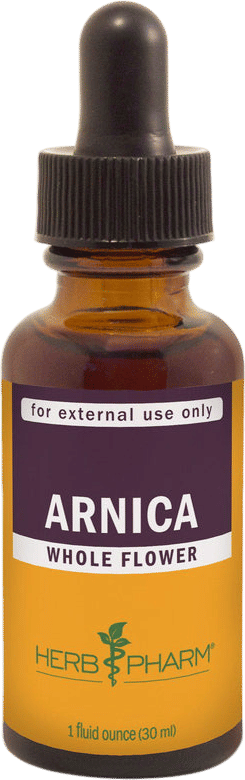 Arnica Flower