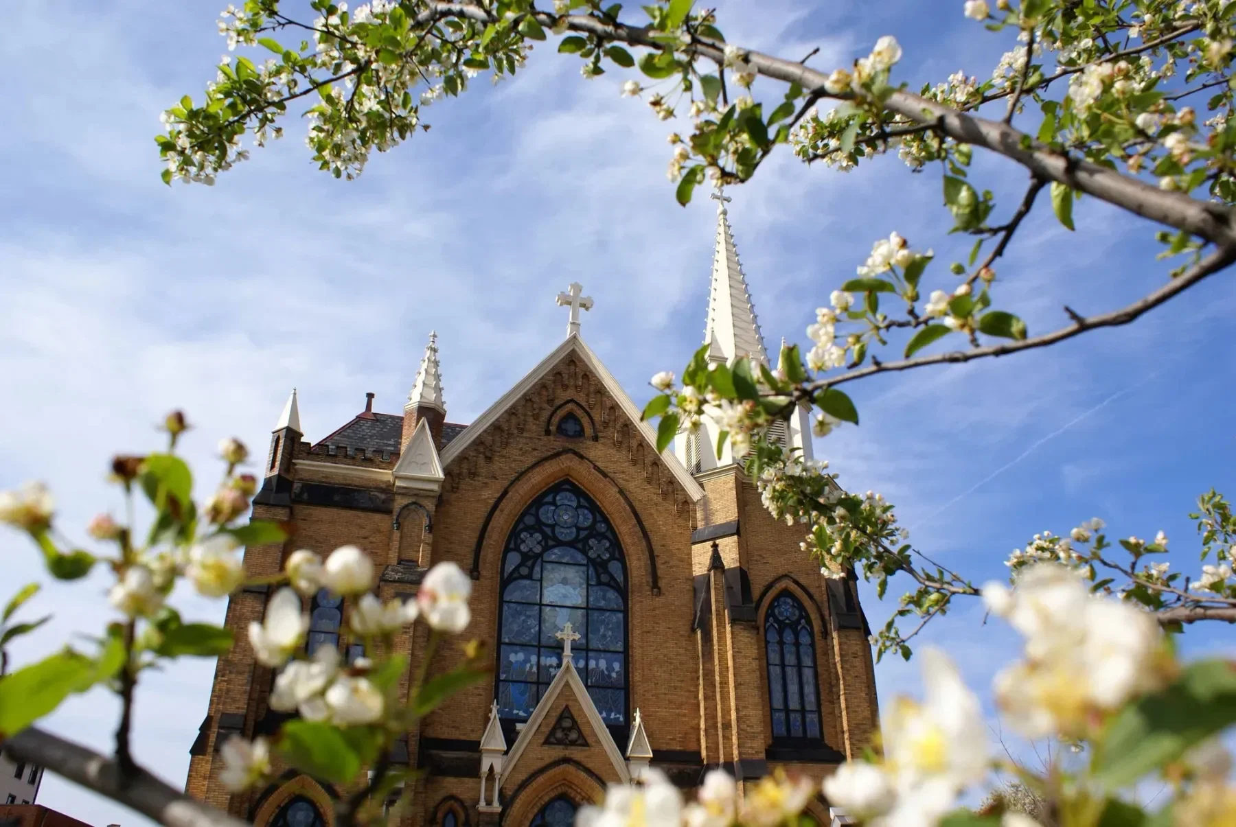 Having a service instead of a full catholic mass