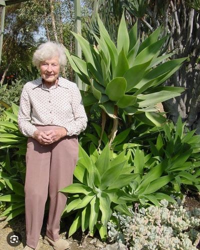 The Ruth Bancroft Garden, Walnut Creek, CA