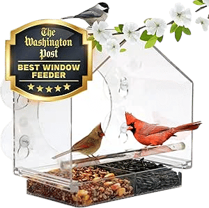 Clear Window Bird Feeder