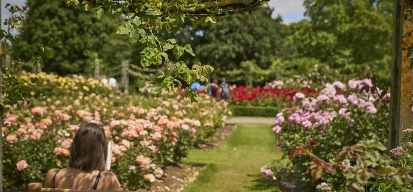 Queen Mary's Gardens