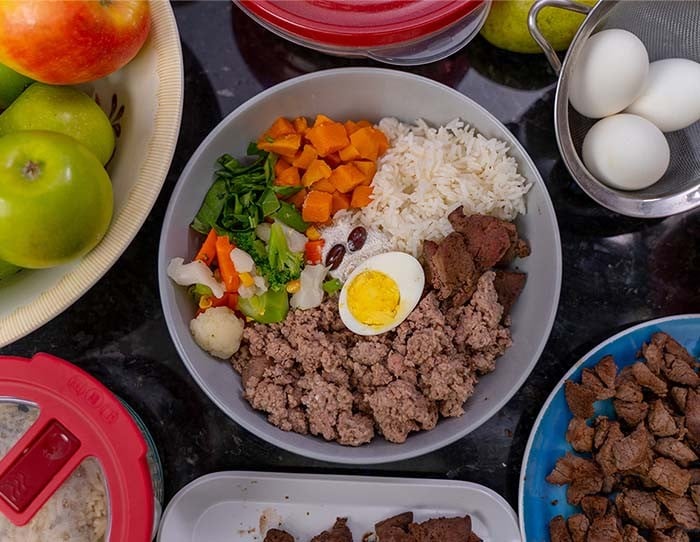 Feed your dog real food