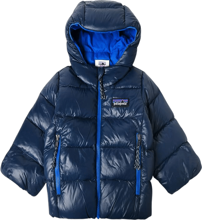 Patagonia Kids' Hi-Loft Down Sweater Hoody