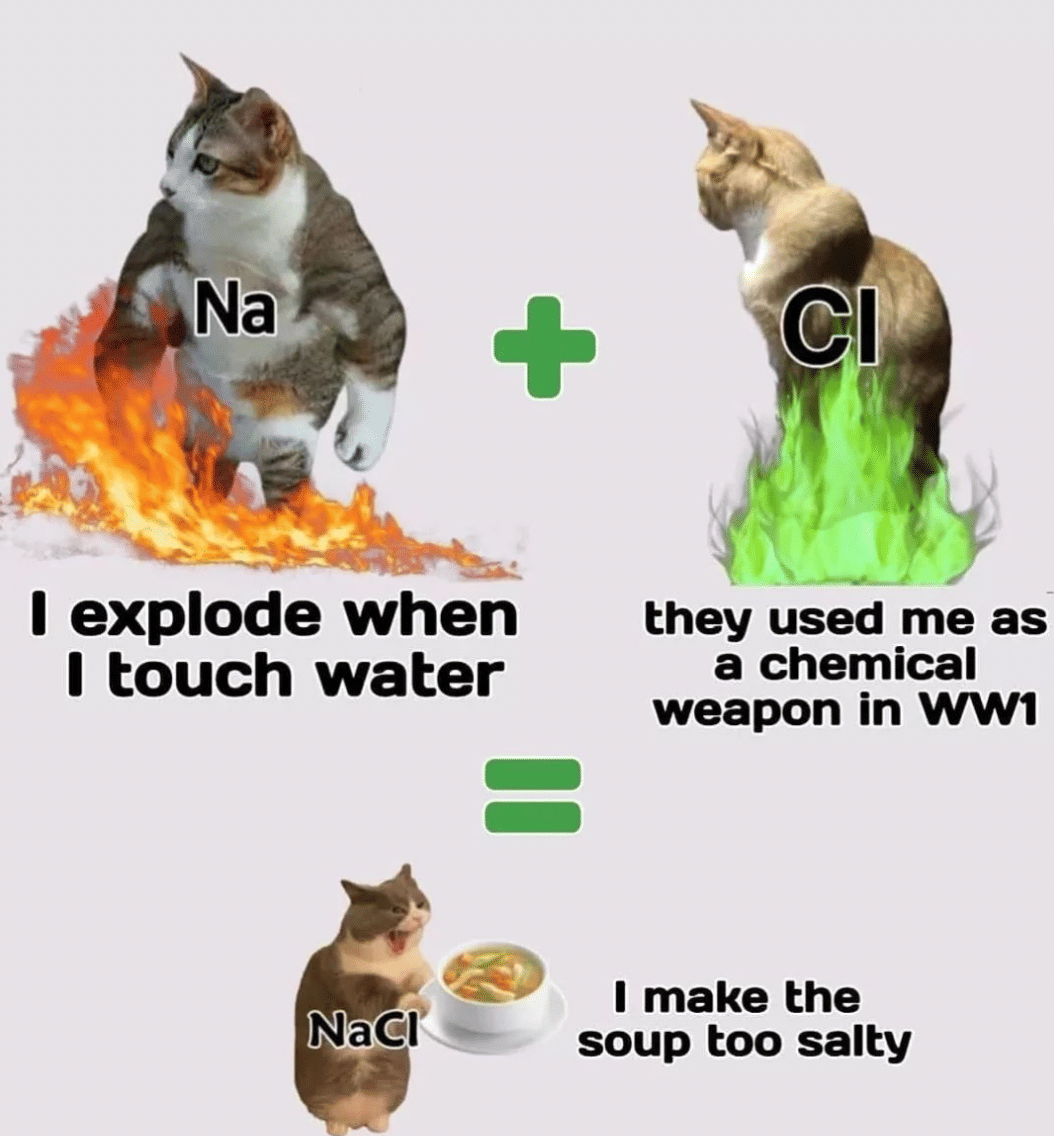 NaCl cat meme