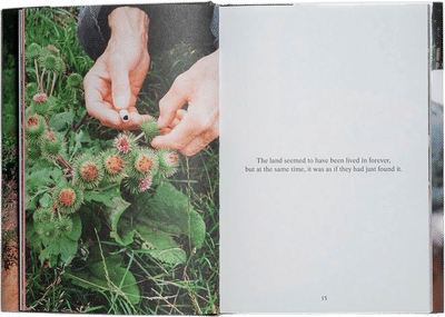 Black Pond