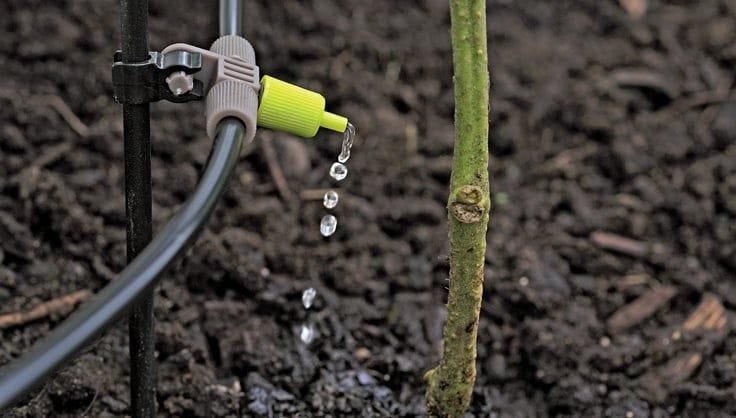 an irrigation system