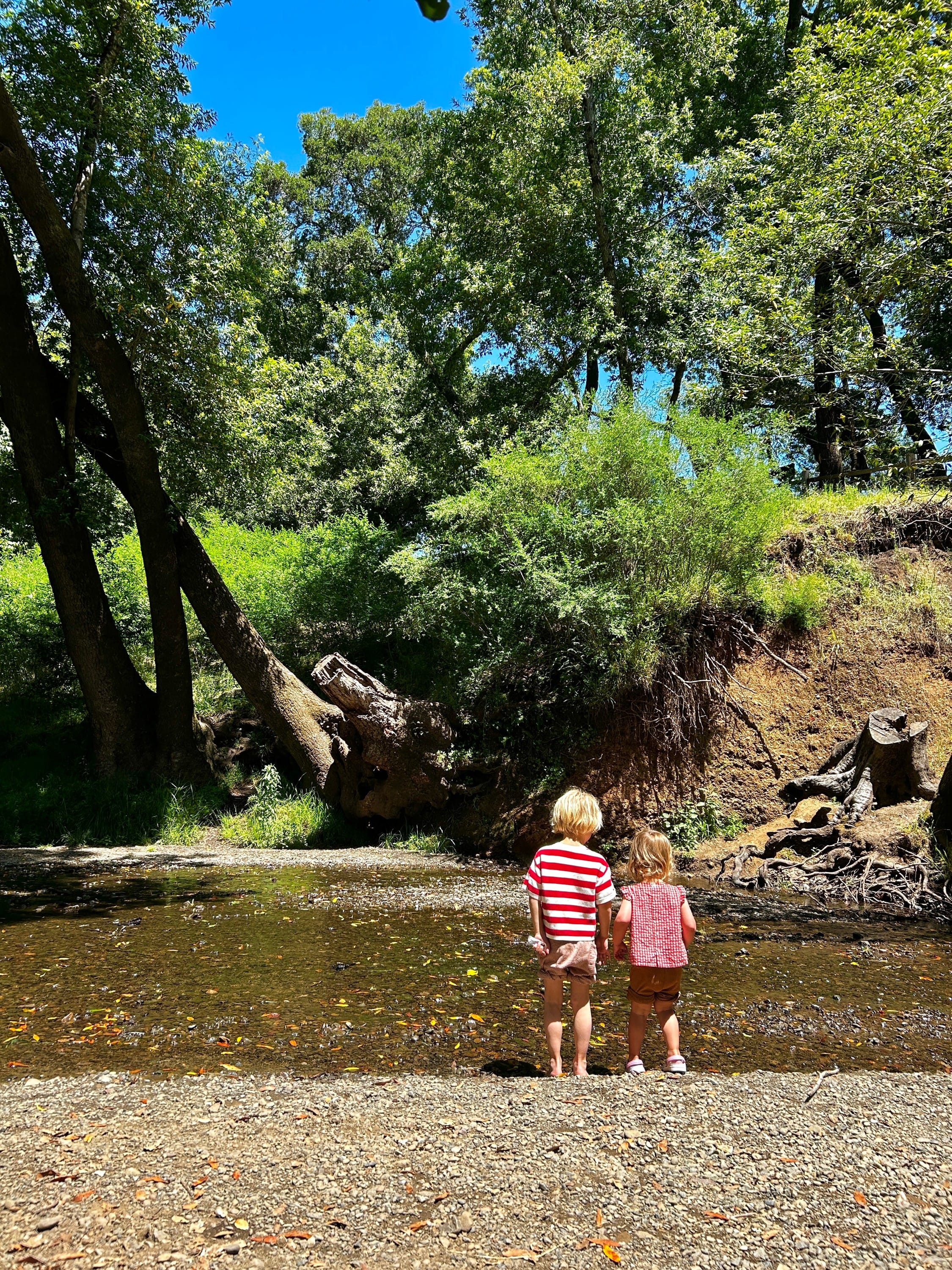 Fairfax Creek