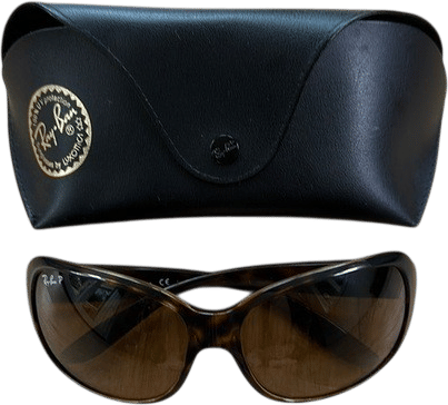 Ray-Ban Brown Sunglasses