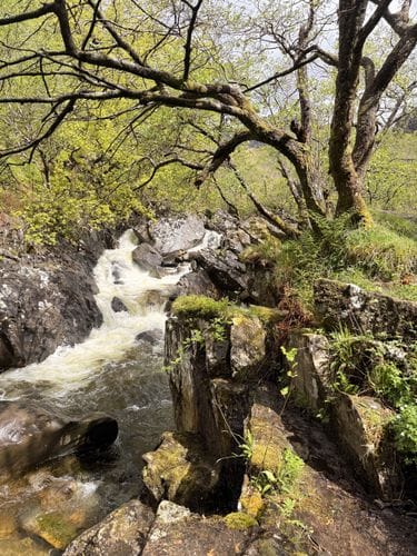 fort william