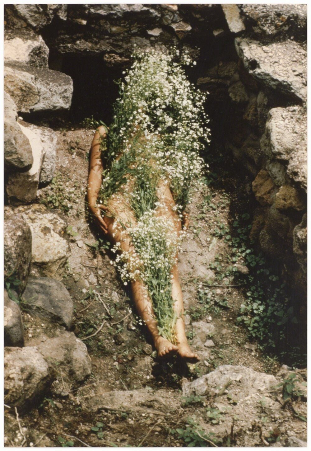 Ana Mendieta's Silueta series