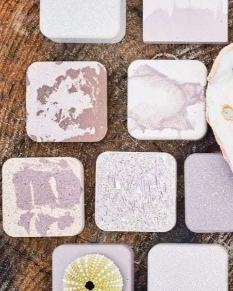 Sea Urchin Dye Classes with Seelie Studio