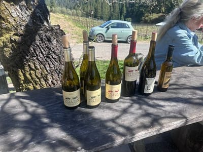 Porter-Bass Vineyard & Winery