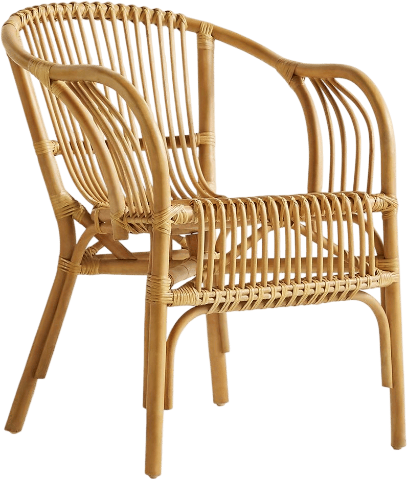 Pari Rattan Chair