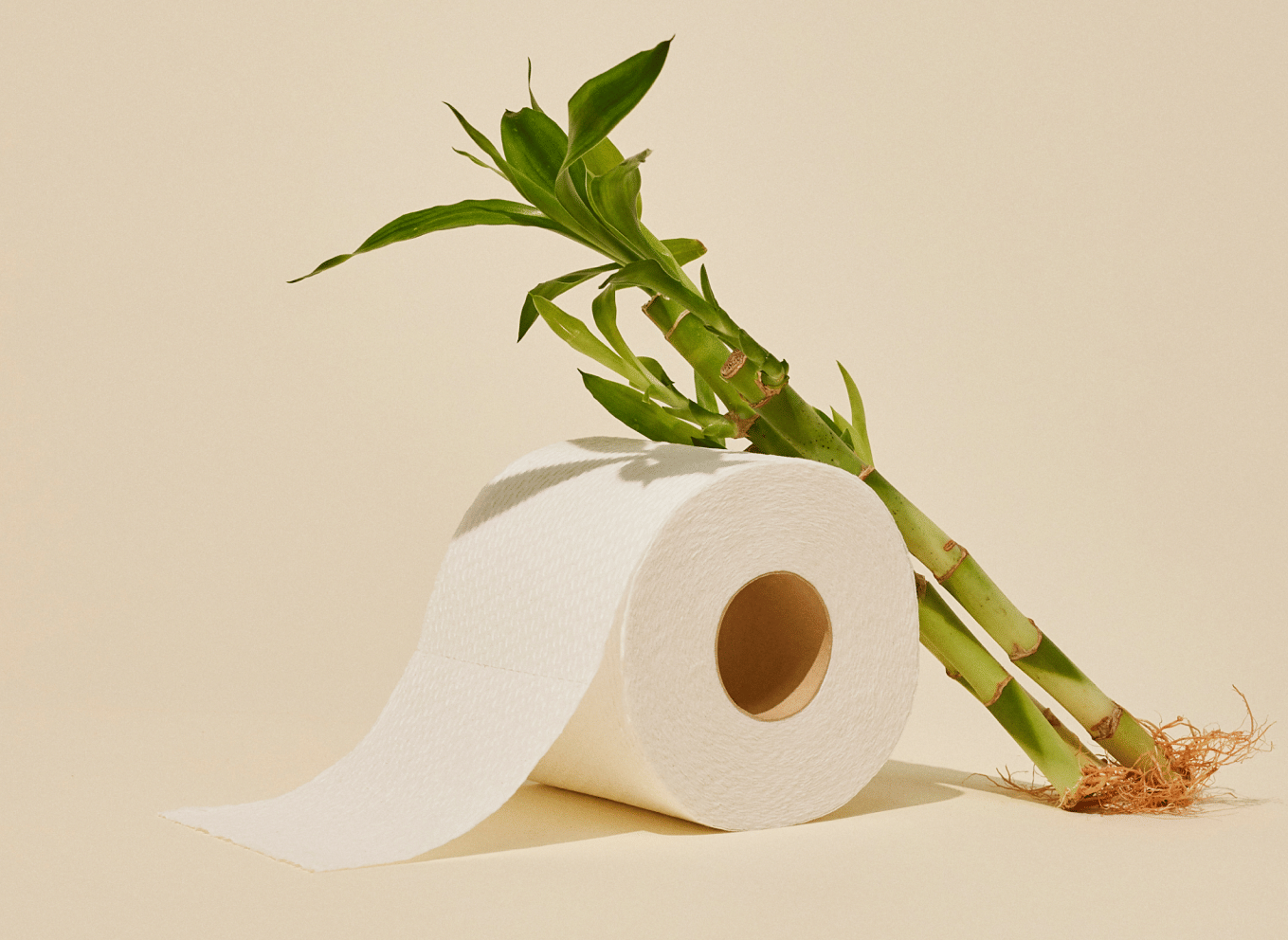 reel paper