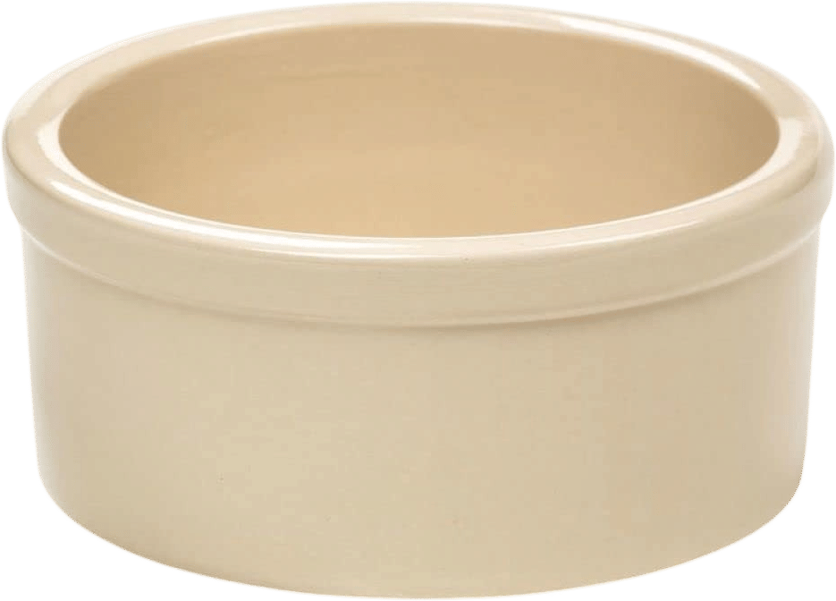 Ohio Stoneware Medium Pet Bowl