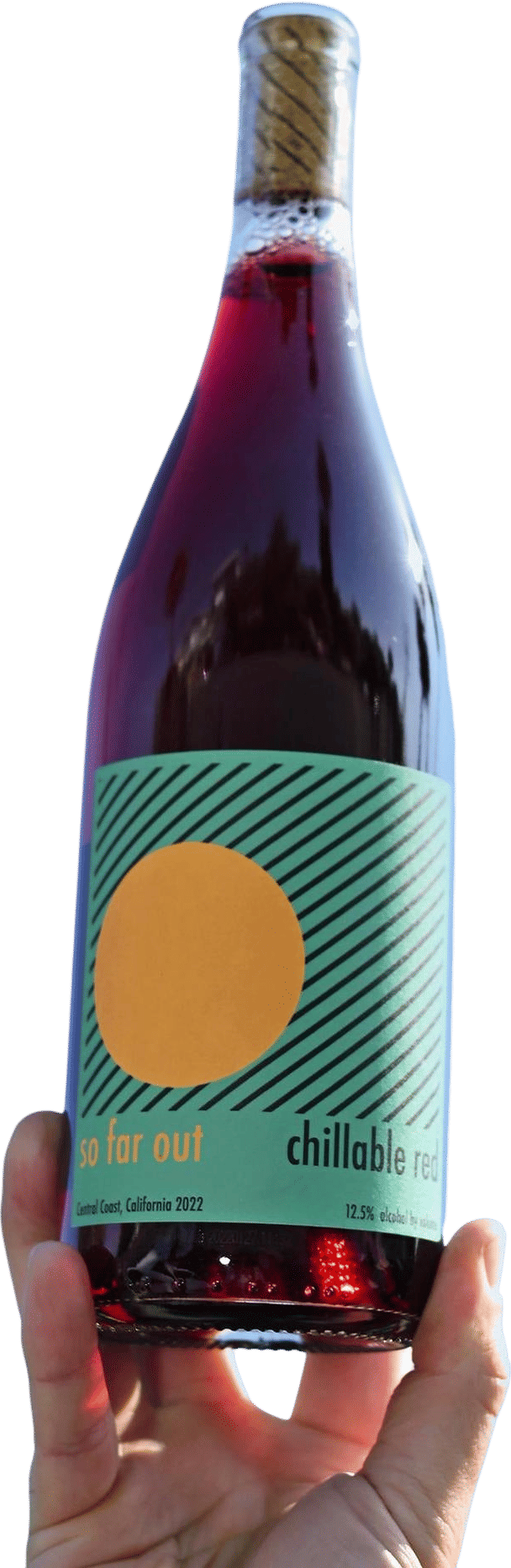 So Far Out Chillable Red