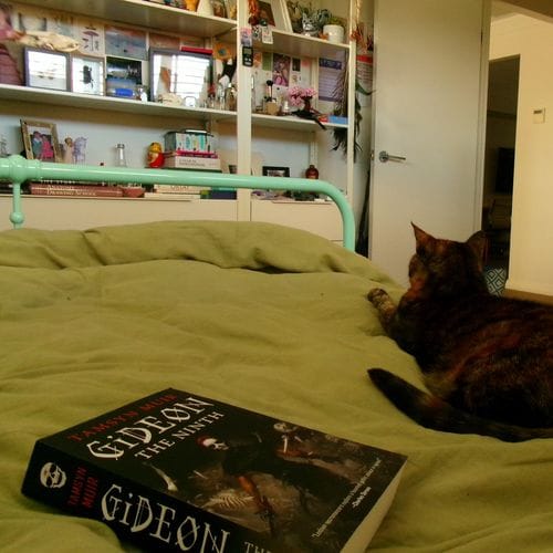 my lesbian fiction shelf