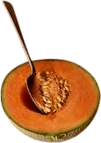 Zerbinati Melon