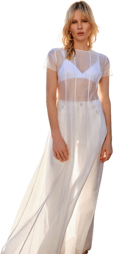 Sheer Maxi Dress