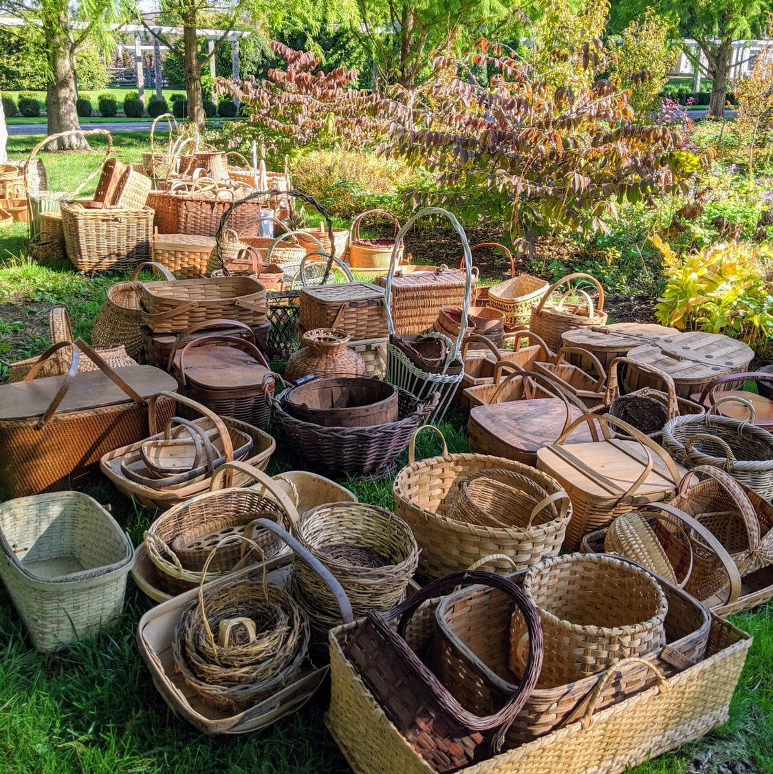 Collecting baskets