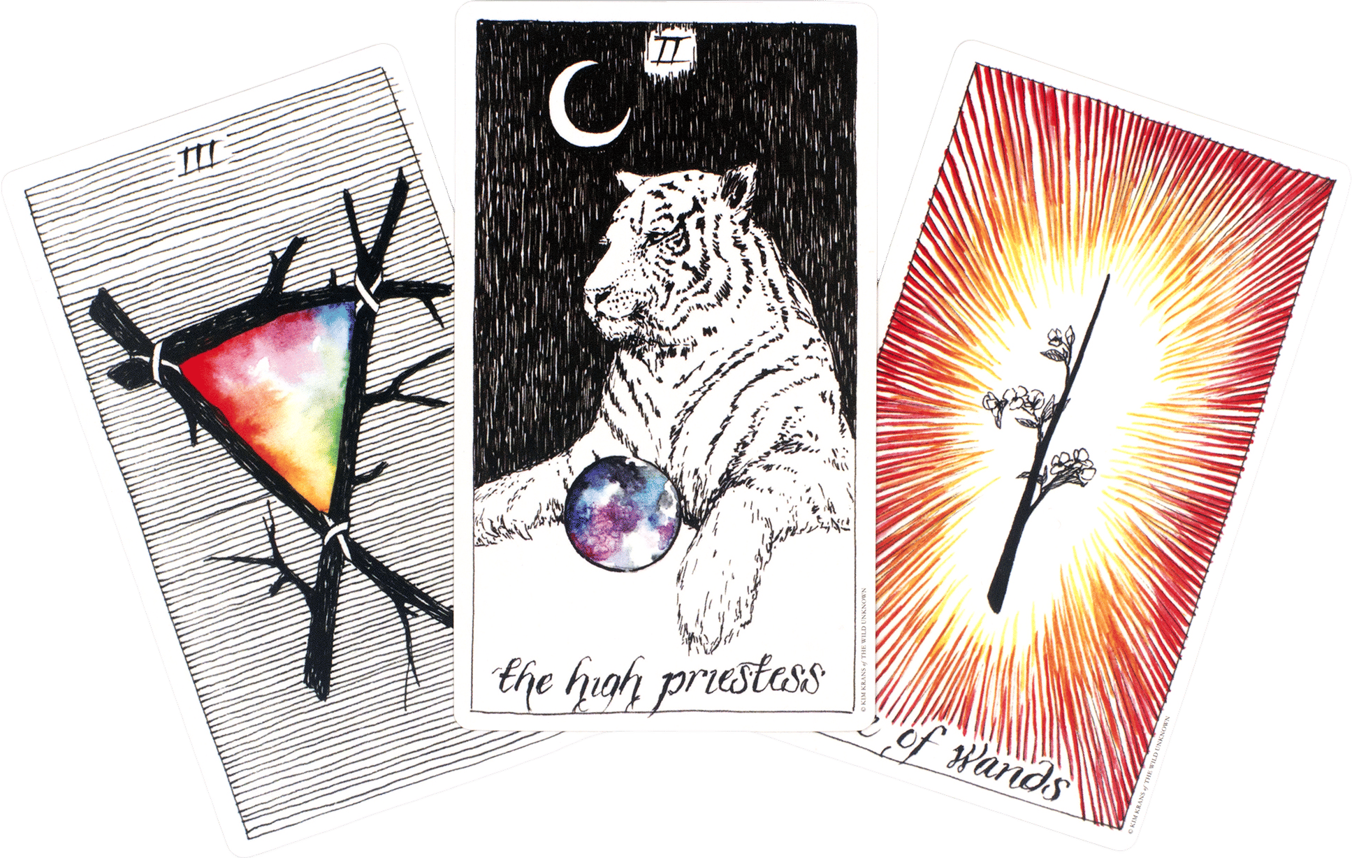 The Wild Unknown Tarot