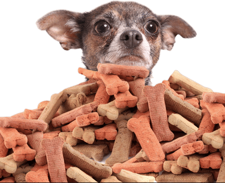 Rewards! Treats!