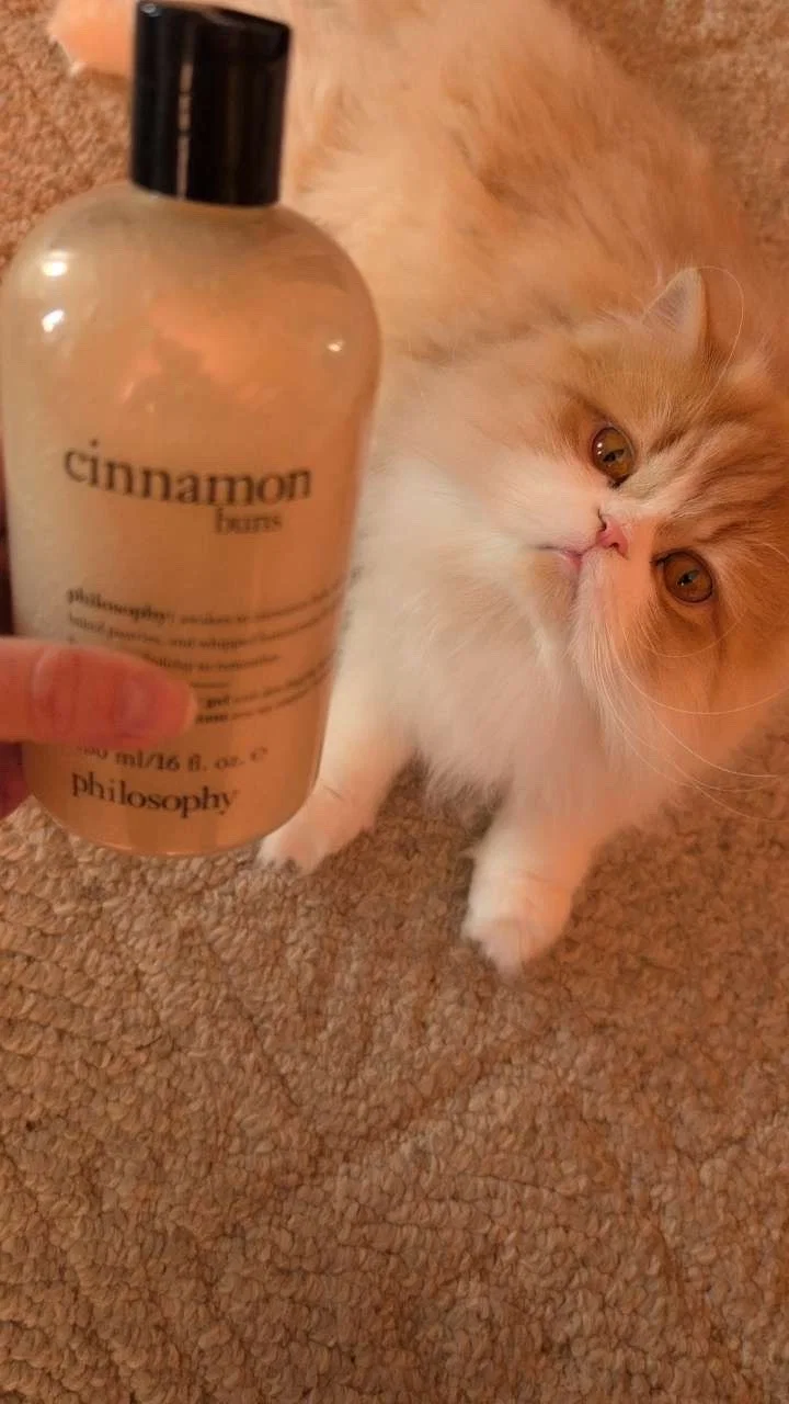 3-in-1 Shampoo, Shower Gel & Bubble Bath