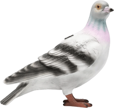 Pigeon Clutch Bag