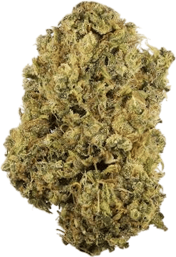 durban poison