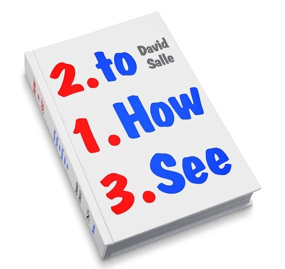 How to See - David Salle