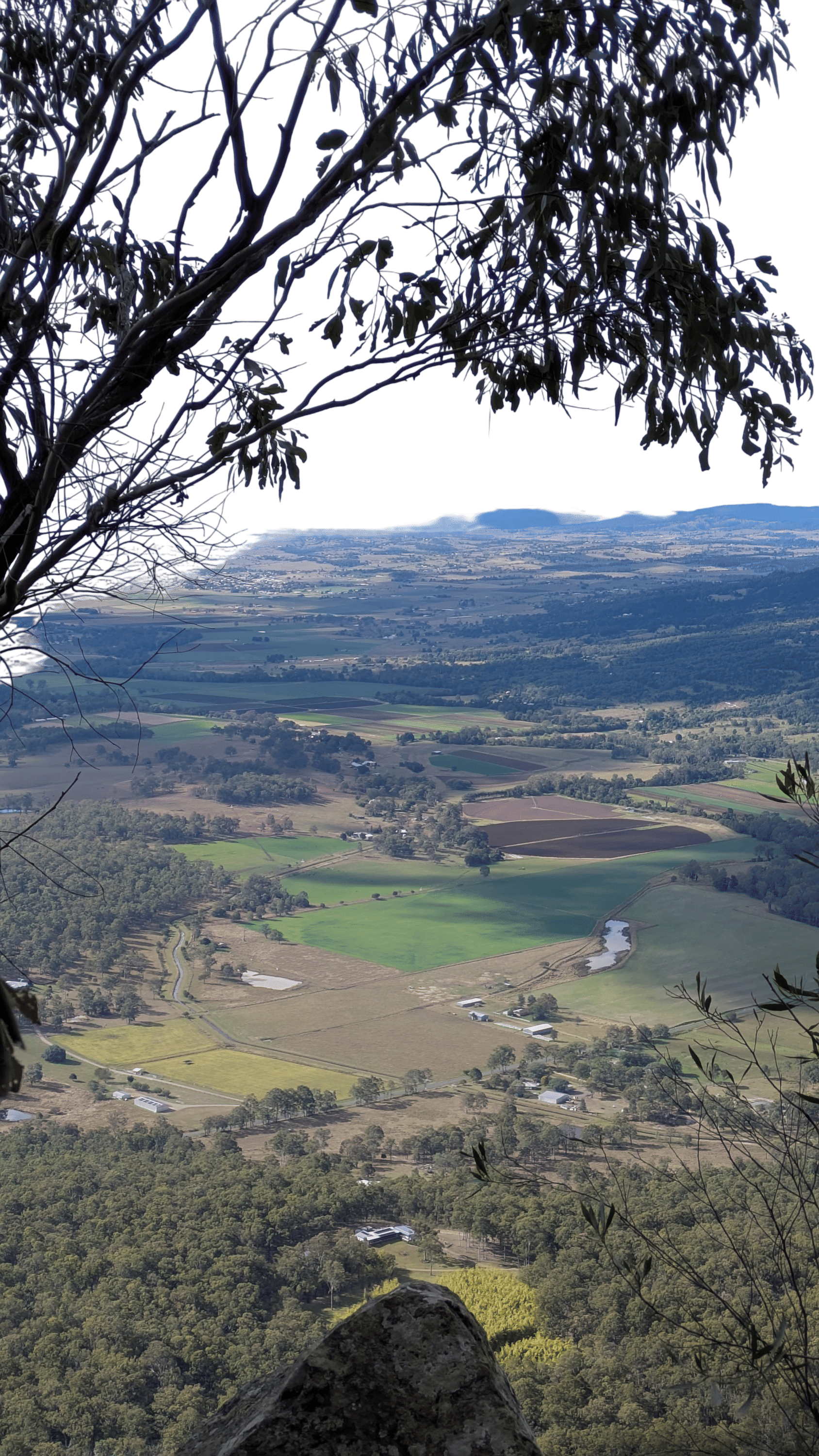 hike • mount edwards summit trail