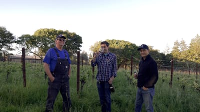 Marchelle Wines