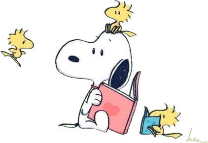 book bag