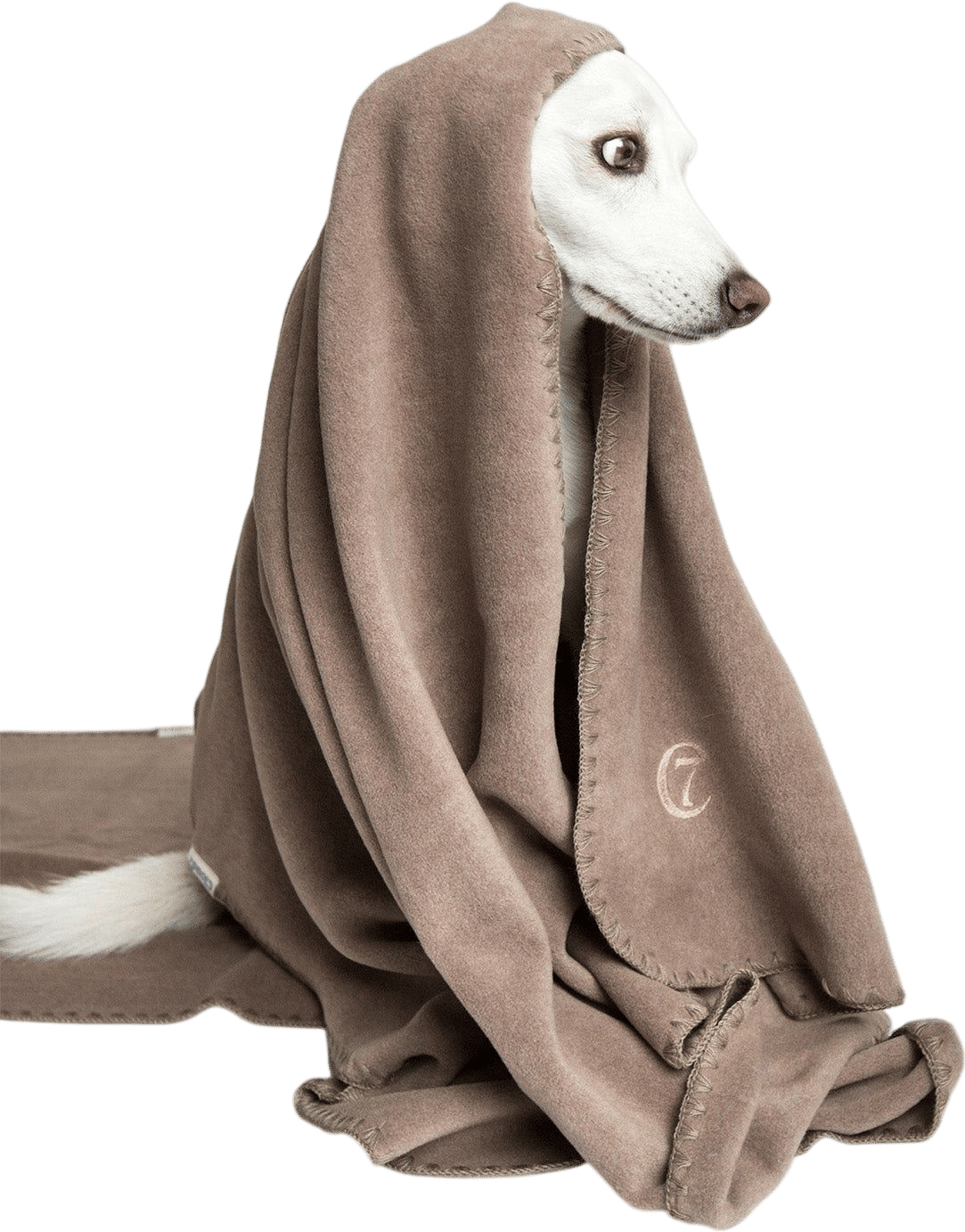 Cloud7 Dog Blanket Soft Fleece Sand