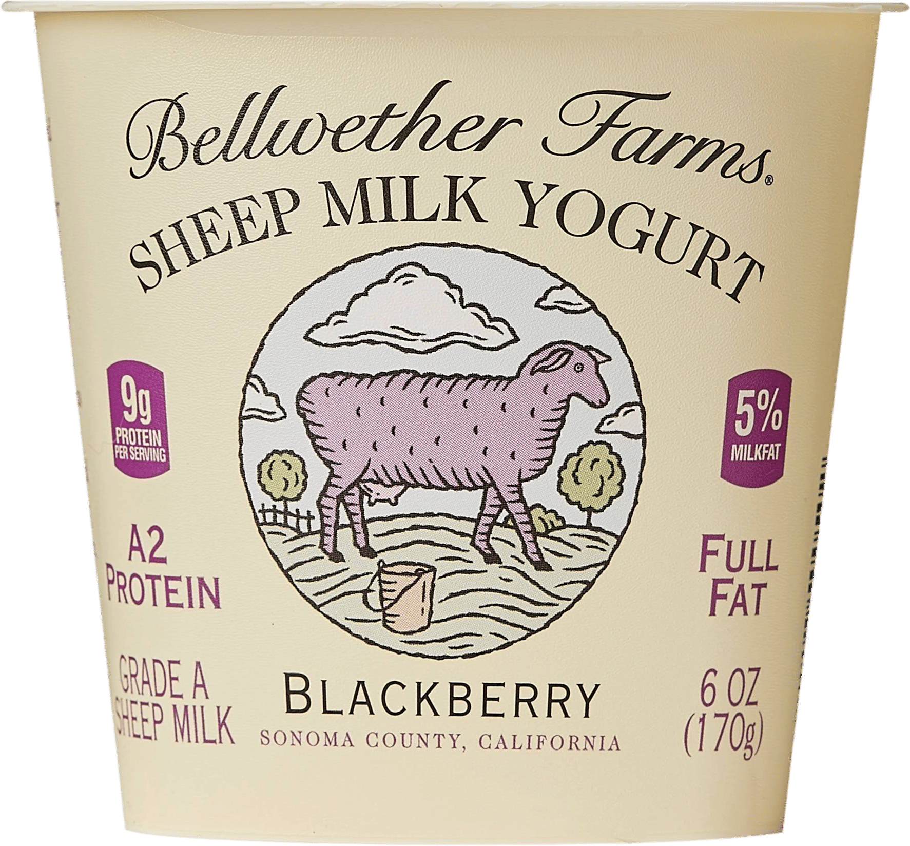 Bellwether Farms Sheep Milk Blackberry Yogurt