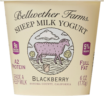 Blackberry Sheep Milk Yogurt
