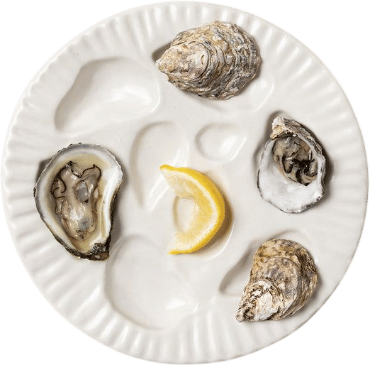 Porcelain Oyster Plate