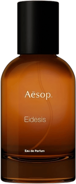 Eidesis by Aesop