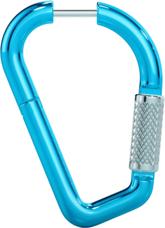 Mini Carabiner Earring