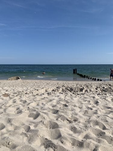 nyc in the summer