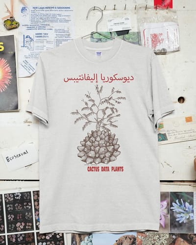 Cactus Store Tee