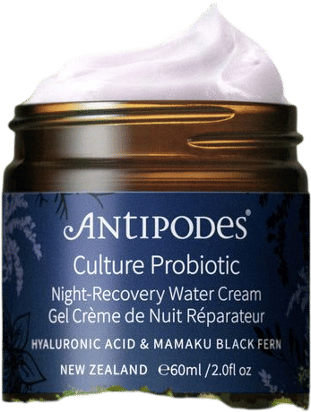 Culture Probiotic Night Recovery Water Cream