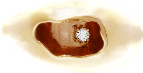 Carina Hardy 18K Diamond Dome Ring