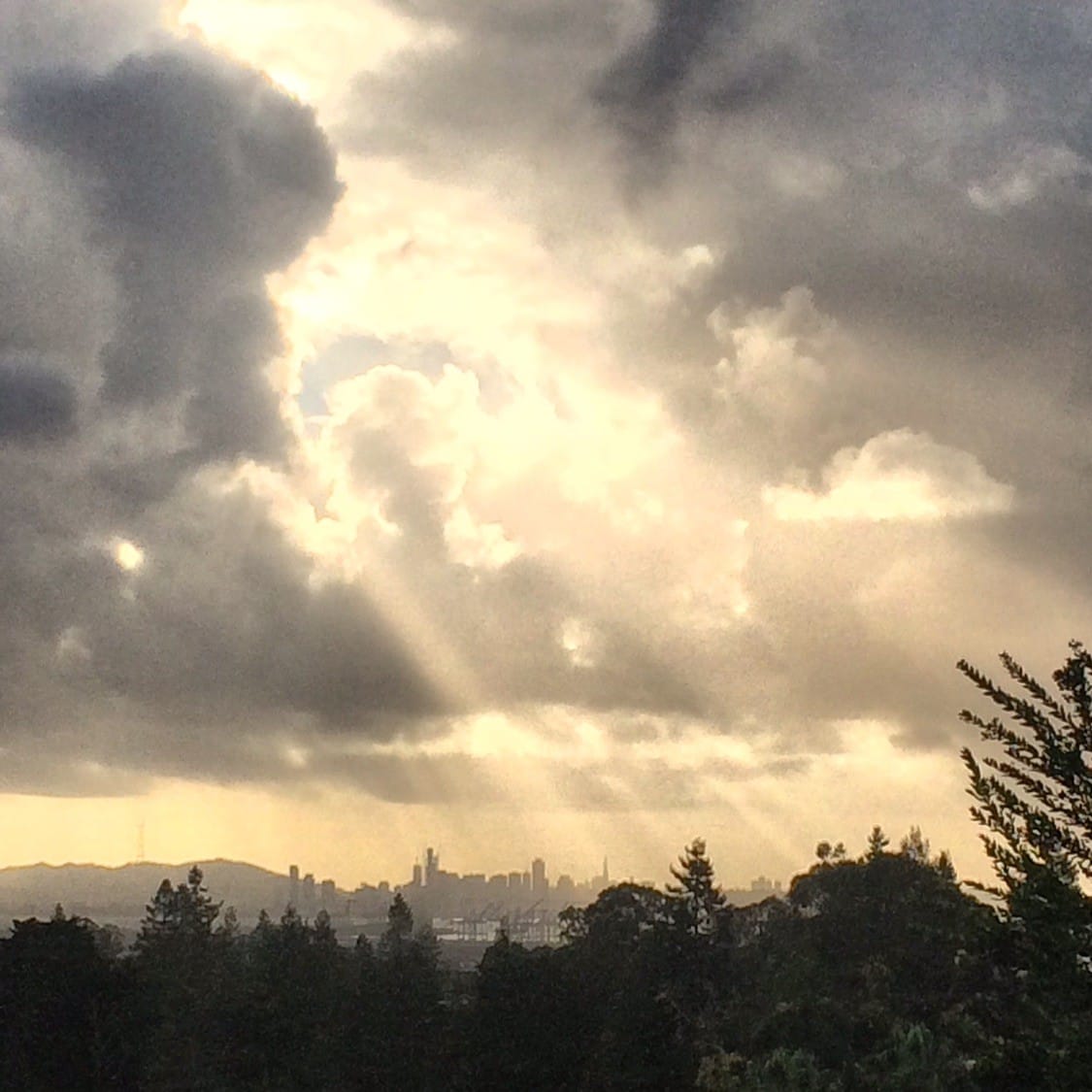 Bay Area
