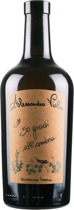 Alessandro Viola 50 Gradi All'Ombra 2024