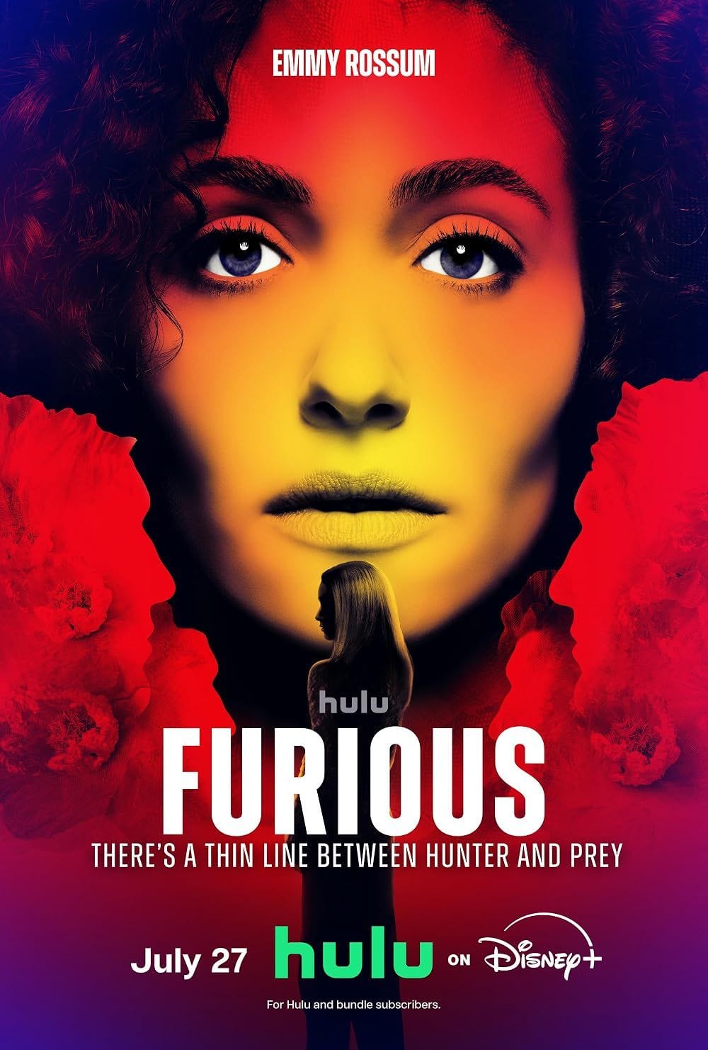 Furious tv show
