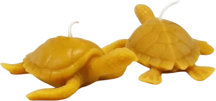 mini beeswax turtle candles
